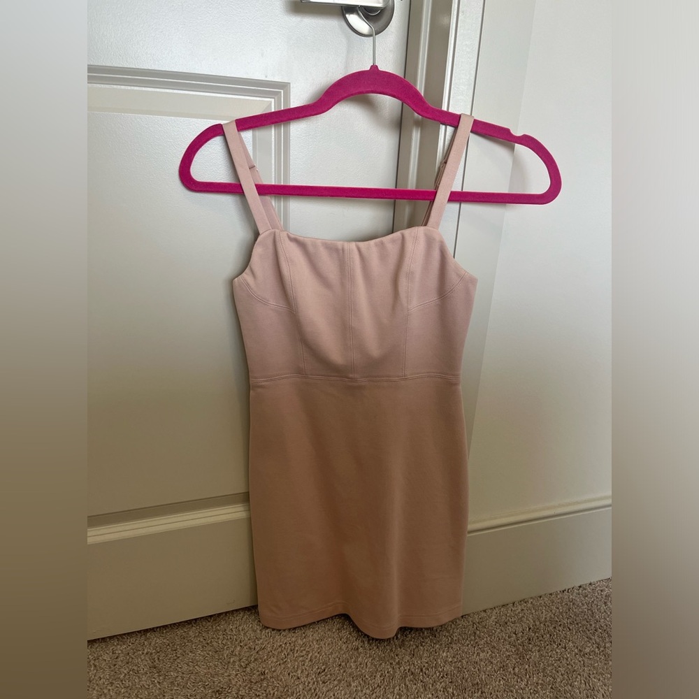 Aritzia Babaton Dress